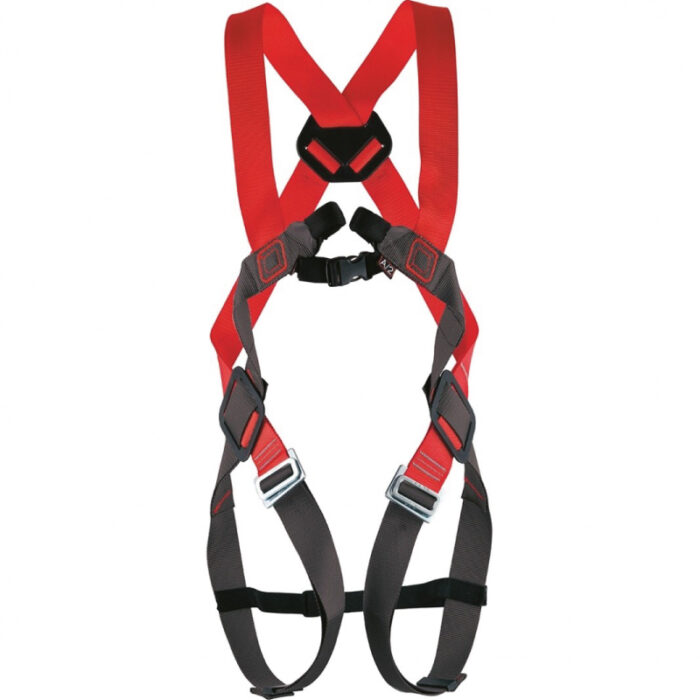 BASIC-DUO-HARNESS.jpg