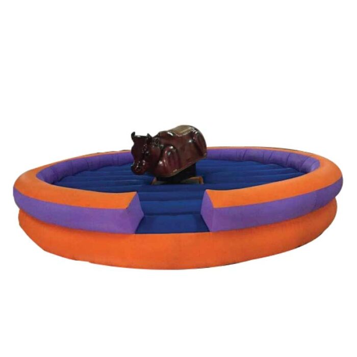 Mechanical-Bull-Ride.jpg